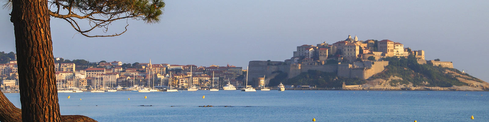 Holidays Tourism In Calvi Haute Corse Visit Calvi And