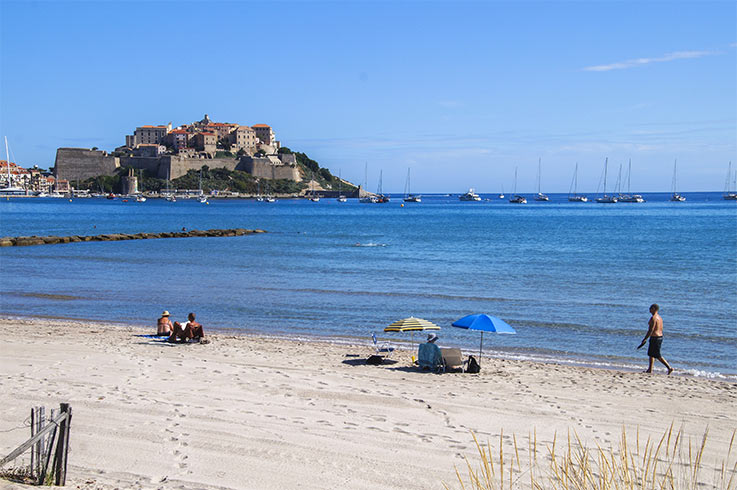 Beaches Of Calvi In Haute Corse Near The Campsite Les Castors